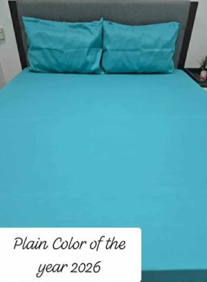 PLAIN COLOR OF THE YEAR 2026